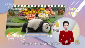 WIFI下打开 专稿 被割过“韭菜”的，就会懂这部电影有多真实。
